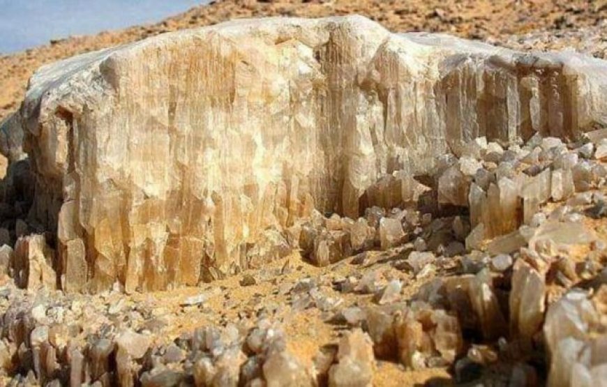 Two Days Tour To Bahariya Oasis And White Desert From Cairo