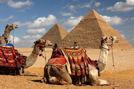 Pyramids of Giza, Sphinx, Saqqara & Memphis Tour  with Lunch